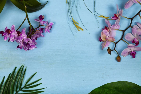 Orchideák Phalaenopsis Levelek Kék Fából Készült Asztal Design Szép Háttér — Stock Fotó