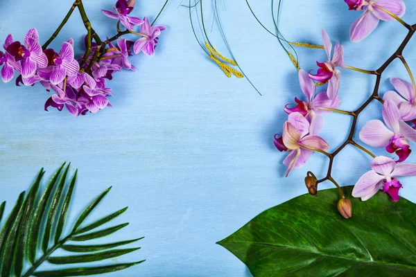 Orchideen Phalaenopsis Und Blätter Auf Einem Blauen Holztisch Schöner Hintergrund — Stockfoto