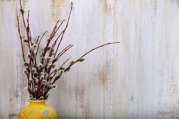 Stillleben Mit Weidenzweigen Einer Vase Palmsonntag — Stockfoto