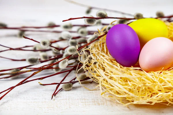 Pasen Stilleven Met Pasen Eieren Het Nest Wilg Pasen Wenskaart — Stockfoto