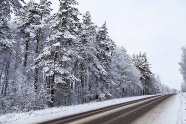 Sonra bir kar yağışı köy yolunda. Bir bulutlu kış gününde manzara.