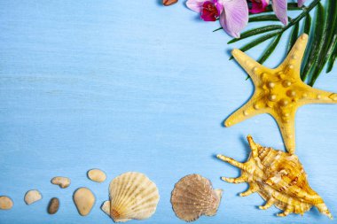 Orkide, deniz kabuklarını, deniz yıldızı ve mavi ahşap arka plan üzerinde palmiye ağacının yaprak.