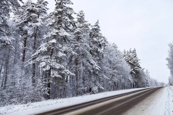 Sonra bir kar yağışı köy yolunda. Bir bulutlu kış gününde manzara.