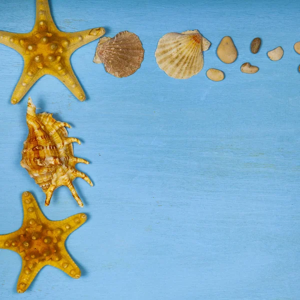 蓝色木制背景上的贝壳 海星和海鹅卵石的边界 — 图库照片