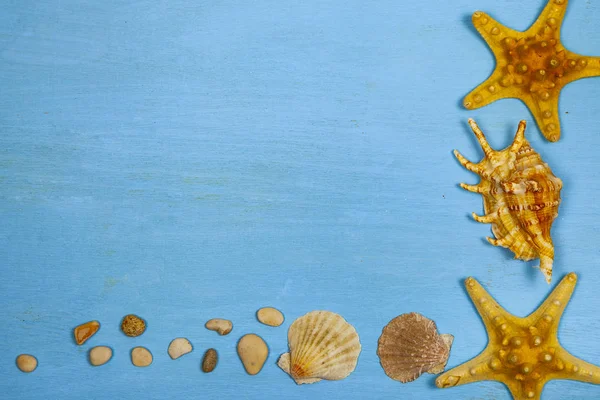 Border Seashells Starfish Sea Pebbles Blue Wooden Background — Stock Photo, Image