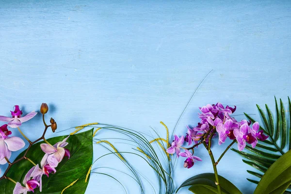 Orhidee Phalaenopsis Frunze Masă Lemn Albastru Fundal Frumos Pentru Designul — Fotografie, imagine de stoc