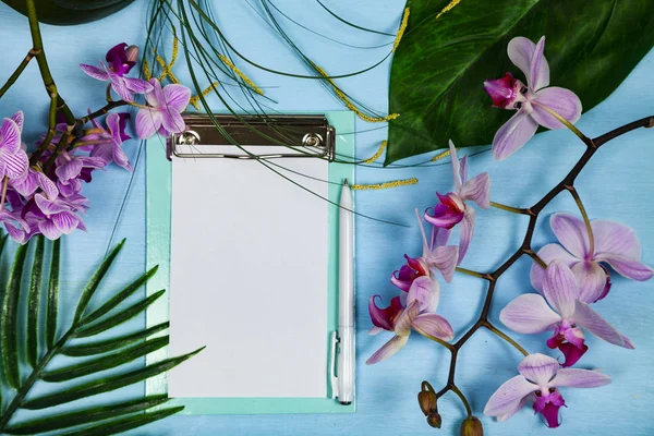 Орхідеї (Фалаенопсис), папір і листя — стокове фото