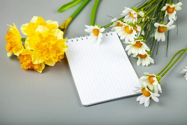 Букет весняних квітів в кошику і листівці — стокове фото