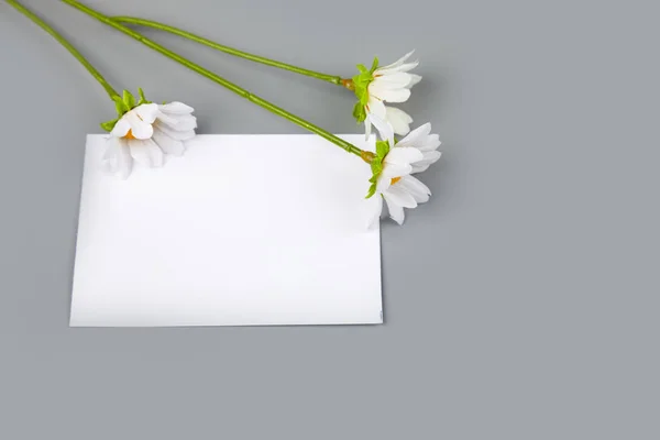 Bouquet daisies and a card — Stock Photo, Image