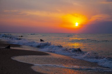 Gün batımında güzel deniz. 