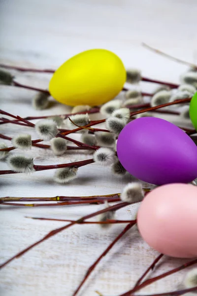 Easter still life with Easter eggs and willow. — Stock Photo, Image