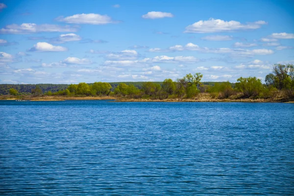 Lac et prairie verdoyante avec arbres — Photo