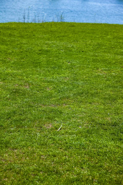 Grön gräsmatta och sjö på en solig dag. — Stockfoto