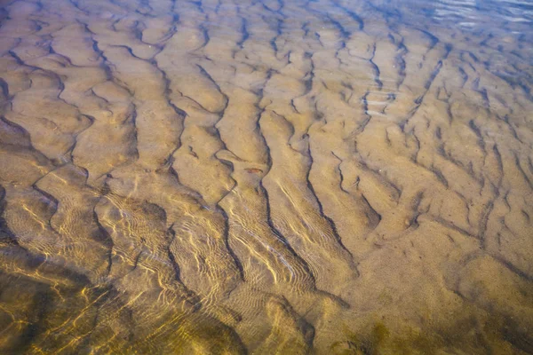 Fondo arenoso del río con conchas — Foto de Stock