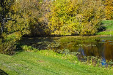 Güneşli bir günde sonbahar gölü. 