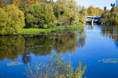 Güneşli bir günde sonbahar gölü. 