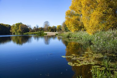 Güneşli bir günde sonbahar gölü. 