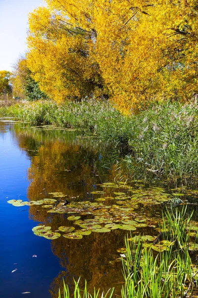 Podzimní jezero za slunečného dne. — Stock fotografie