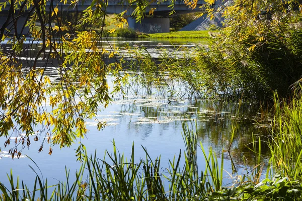 Herbstsee an einem sonnigen Tag. — Stockfoto