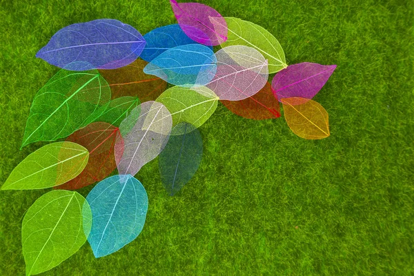 Colorful leaves on the background of green grass — Stock Photo, Image