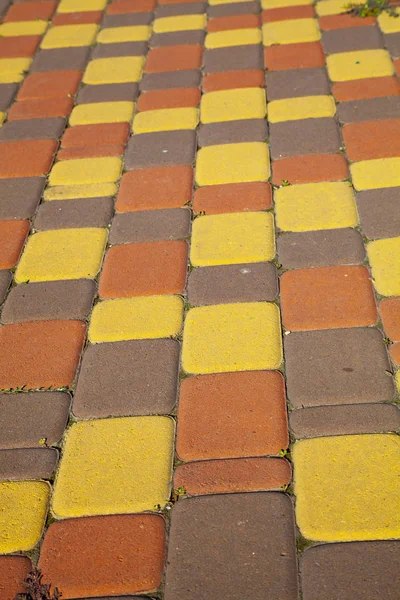 Naranja con losas de pavimentación marrón — Foto de Stock