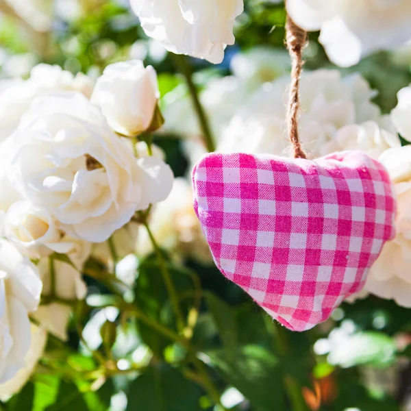 Coração Rosa Rosas Brancas Jardim Símbolo Amor Belas Flores — Fotografia de Stock