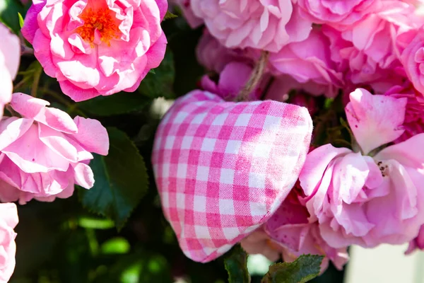 Corazón Rosa Rosas Jardín Símbolo Amor Hermosas Flores —  Fotos de Stock