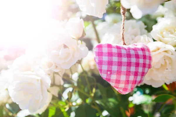 Coração Rosa Rosas Brancas Jardim Símbolo Amor Belas Flores — Fotografia de Stock