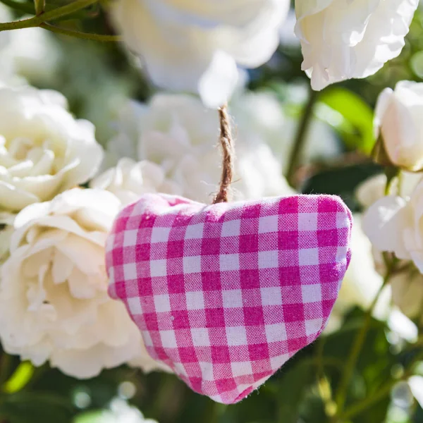 Pink Heart White Roses Garden Symbol Love Beautiful Flowers — Stock Photo, Image