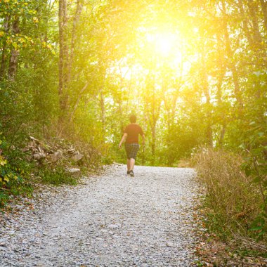 Genç adam dağ ormanlarında bir patika boyunca yürür. Güneşli bir yaz gününde güzel bir manzara..