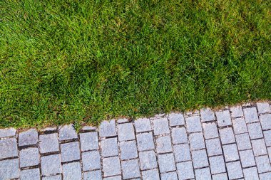 Parkta taş kaldırım ve yeşil çimenler var. Yaz arkaplanı.
