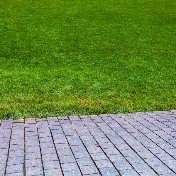 Stengång Och Grön Gräsmatta Parken Sommarbakgrund — Stockfoto