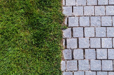 Parkta taş kaldırım ve yeşil çimenler var. Yaz arkaplanı.