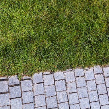 Parkta taş kaldırım ve yeşil çimenler var. Yaz arkaplanı.