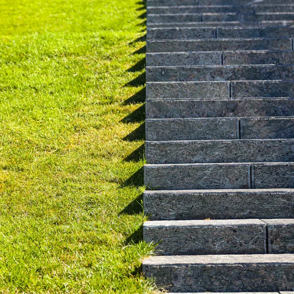 Escaliers Pierre Pelouse Fermez Escaliers Gris Herbe Dans Parc Fragment — Photo