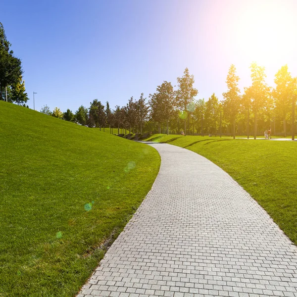 Pasarela Piedra Césped Árboles Parque Paisaje Verano — Foto de Stock