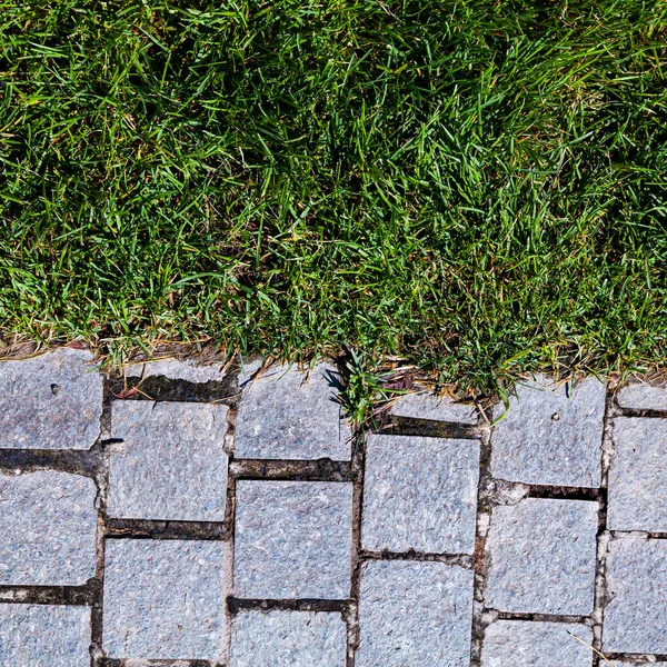 Kamenný Chodník Zelený Trávník Parku Letní Pozadí — Stock fotografie