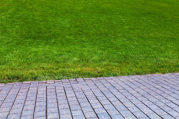 Pasarela Piedra Césped Verde Parque Fondo Verano — Foto de Stock