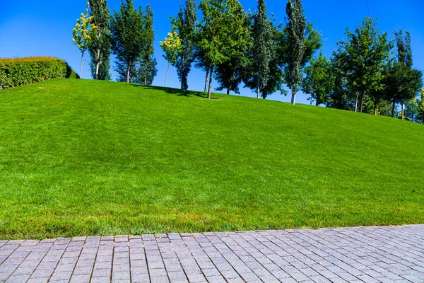 Stone walkway, lawn and trees in the park. Summer landscape.