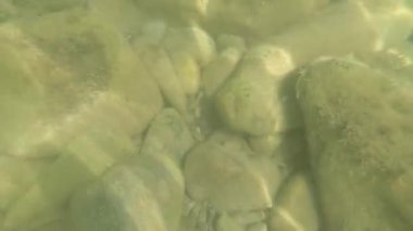 Güzel sualtı video çekimi. Karadeniz 'in dibi taştan..