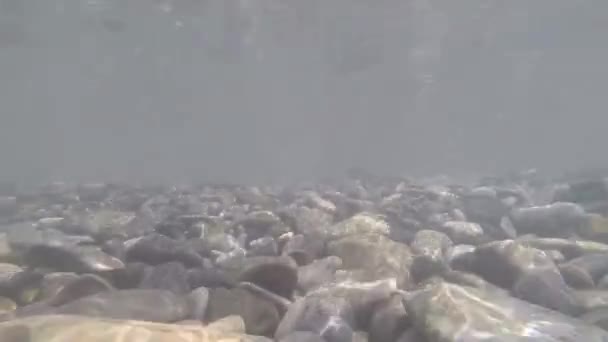 Bela Filmagem Subaquática Fundo Pedra Mar Negro — Vídeo de Stock