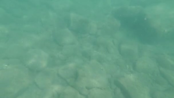 Bela Filmagem Subaquática Fundo Pedra Mar Negro — Vídeo de Stock