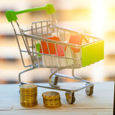 Alışveriş arabasında bir ev ve inşaat halindeki bir binanın arka planında para. Bir mülk satın almak.