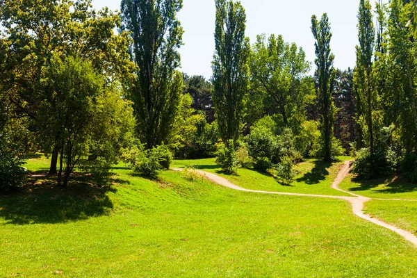 Árboles Verdes Parque Paisaje Verano Día Soleado — Foto de Stock