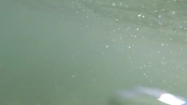 Su altı videosu, su kabarcıkları