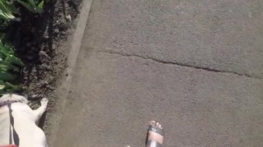 Sokakta yürüyen kadın ve pug.