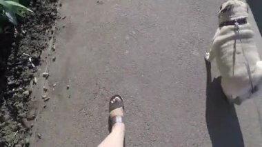 Yolda yürüyen köpekli bir kadın., 