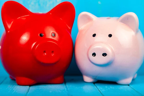 Two pigs piggy banks on a blue wooden background.