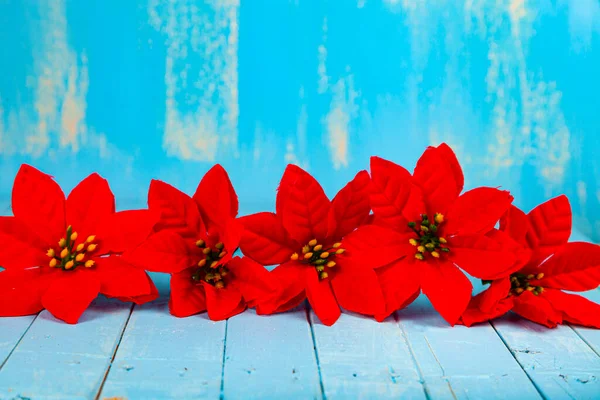 Fiori Poinsettia Rossi Tavolo Legno Blu Stella Natale Frontiera — Foto Stock