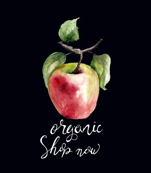 Стилизованные Акварельные Яблочные Иллюстрации Названием Органические Магазин — стоковое фото